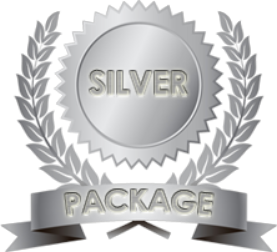 Silver Cleaning Package